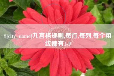安庆九宫格规则,每行,每列,每个粗线都有1-9
