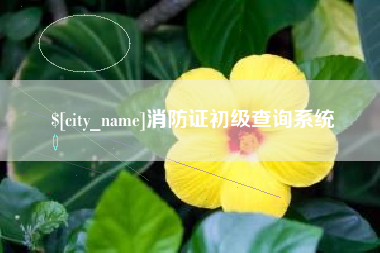 安庆消防证初级查询系统