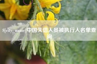 安庆中国失信人员被执行人名单查询