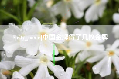 安庆中国金牌得了几枚金牌