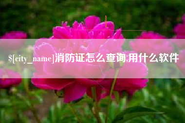 安庆消防证怎么查询,用什么软件