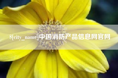 安庆中国消防产品信息网官网