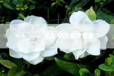 安庆现在中国金牌是多少