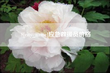 安庆应急救援员价格