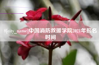 安庆中国消防救援学院2021年报名时间