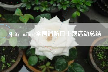 安庆全国消防日主题活动总结