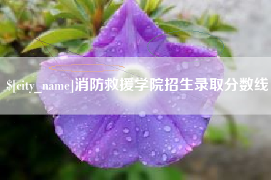 安庆消防救援学院招生录取分数线