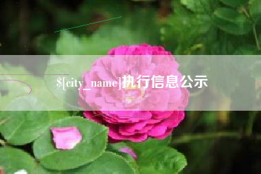 安庆执行信息公示