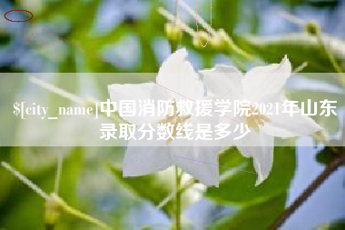 安庆中国消防救援学院2021年山东录取分数线是多少