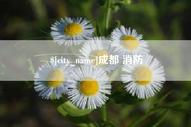 安庆成都 消防