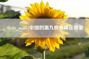 安庆中国的第九枚金牌在哪里