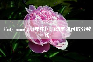 安庆2021年中国消防学院录取分数线