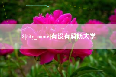 安庆有没有消防大学