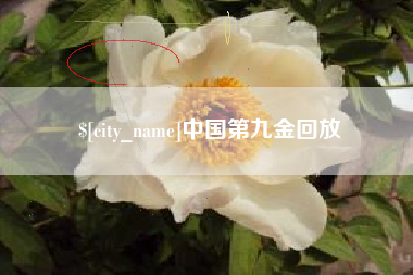 安庆中国第九金回放