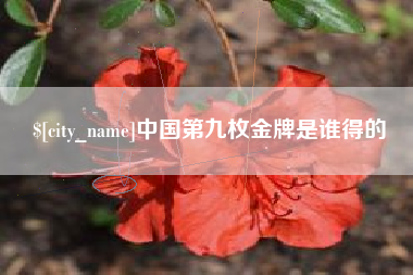 安庆中国第九枚金牌是谁得的