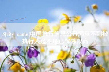 安庆中国执行信息公开网查不到被执行人是不是已解除限高