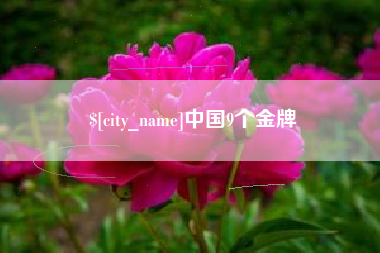 安庆中国9个金牌