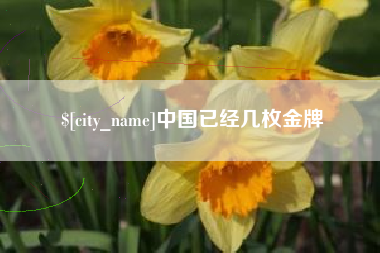 安庆中国已经几枚金牌