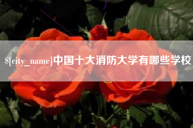 安庆中国十大消防大学有哪些学校
