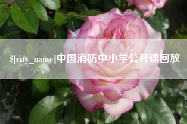 安庆中国消防中小学公开课回放