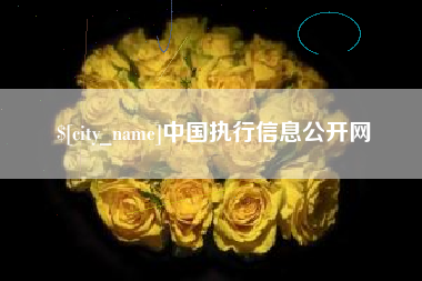 安庆中国执行信息公开网