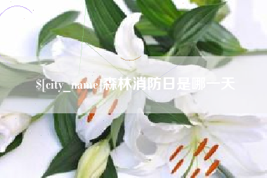 安庆森林消防日是哪一天