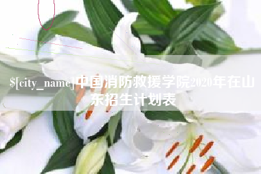 安庆中国消防救援学院2020年在山东招生计划表