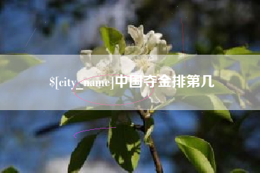 安庆中国夺金排第几