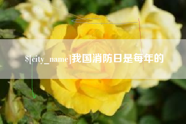 安庆我国消防日是每年的