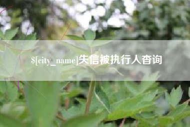 安庆失信被执行人杳询
