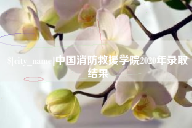 安庆中国消防救援学院2020年录取结果