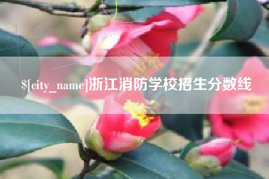 安庆浙江消防学校招生分数线