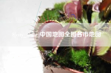 安庆中国地图全图各市地图