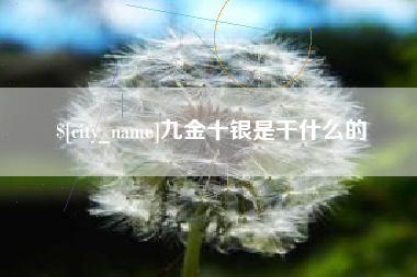 安庆九金十银是干什么的