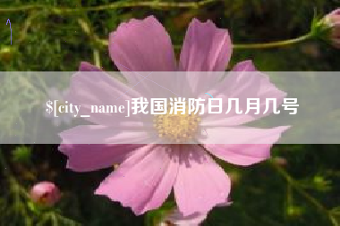 安庆我国消防日几月几号