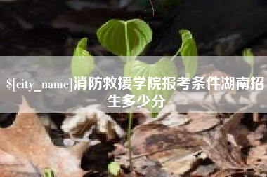 安庆消防救援学院报考条件湖南招生多少分