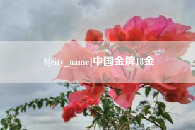 安庆中国金牌18金