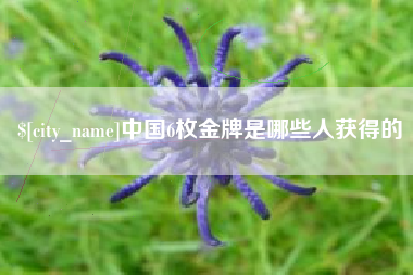 安庆中国6枚金牌是哪些人获得的