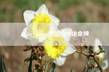 安庆奥运会39块金牌