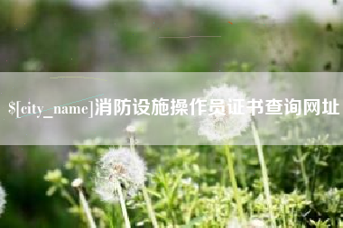 安庆消防设施操作员证书查询网址