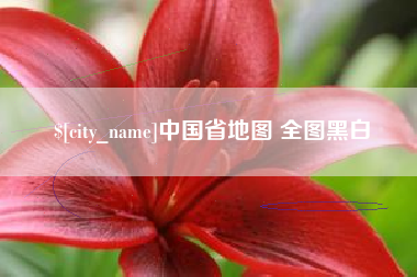 安庆中国省地图 全图黑白
