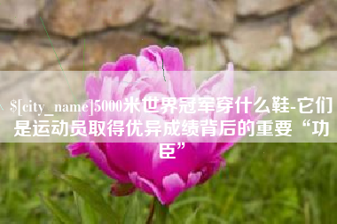 安庆5000米世界冠军穿什么鞋-它们是运动员取得优异成绩背后的重要“功臣”