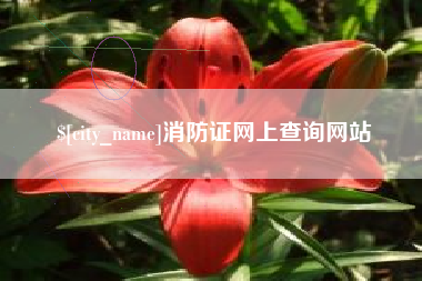 安庆消防证网上查询网站