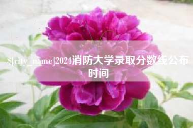 安庆2024消防大学录取分数线公布时间