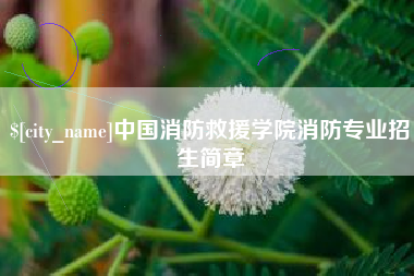 安庆中国消防救援学院消防专业招生简章