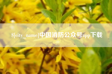 安庆中国消防公众号app下载