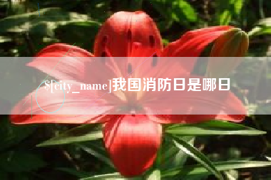 安庆我国消防日是哪日