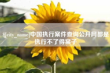 安庆中国执行案件查询公开网都是执行不了得案子