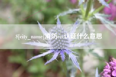 安庆消防ccc认证什么意思