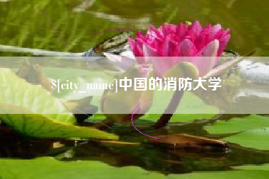 安庆中国的消防大学